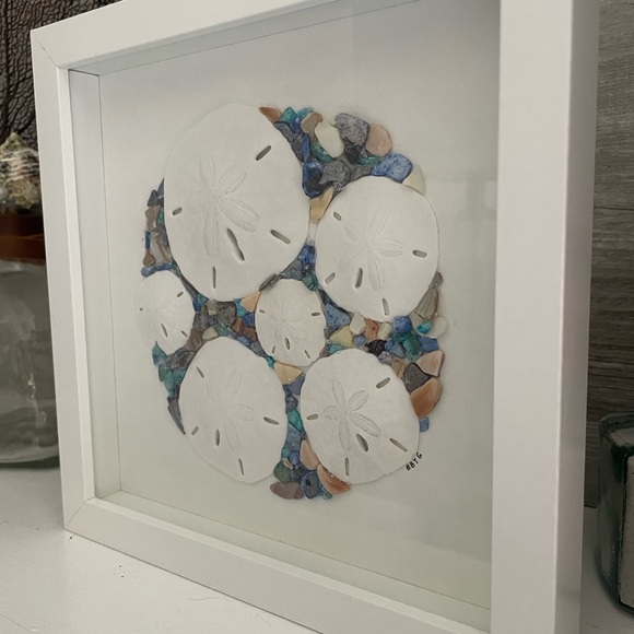 Sand Dollar Collage Beach Tropical Coastal Shadowbox - Picture 3 of 5